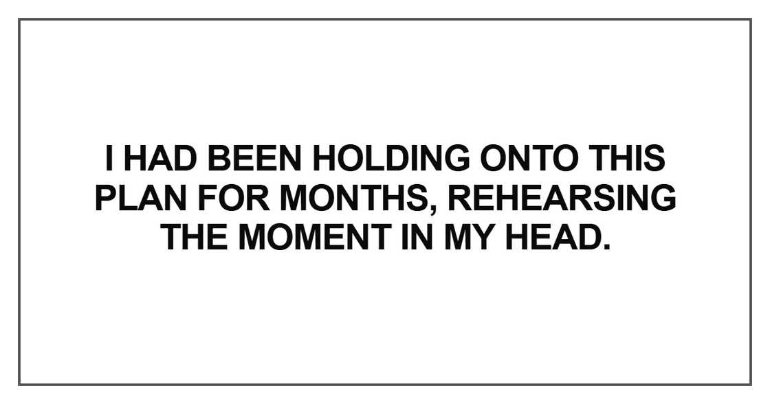 I had been holding onto this plan for months I had been holding onto this plan for months