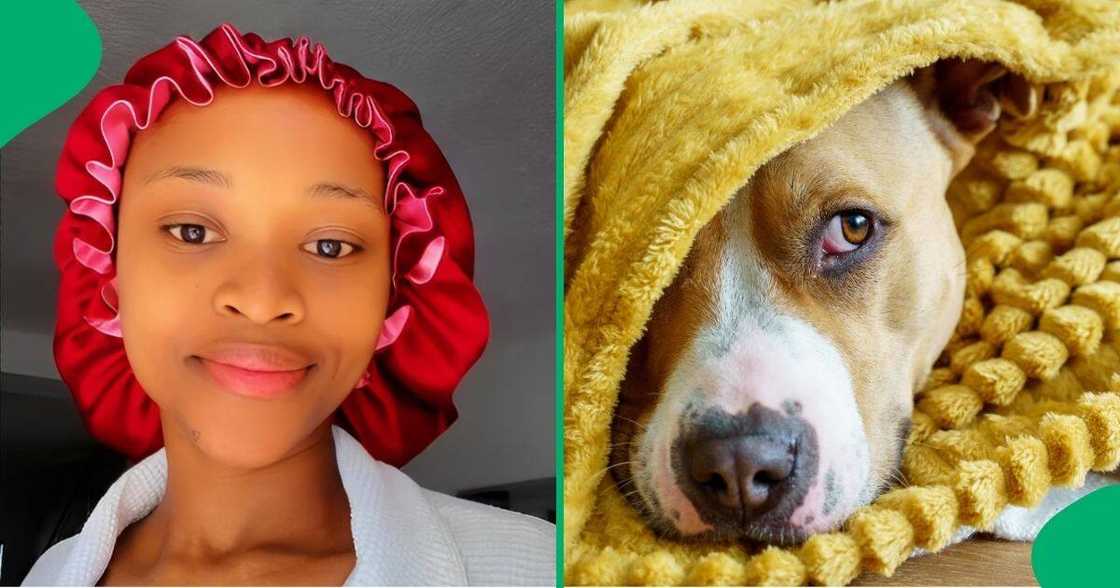 A woman hilariously struggled with her dog before bath time. A woman hilariously struggled with her dog before bath time.