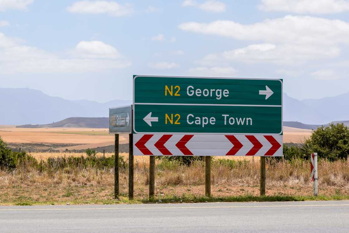 An accident on the N2 in the Western Cape killed four people An accident on the N2 in the Western Cape killed four people