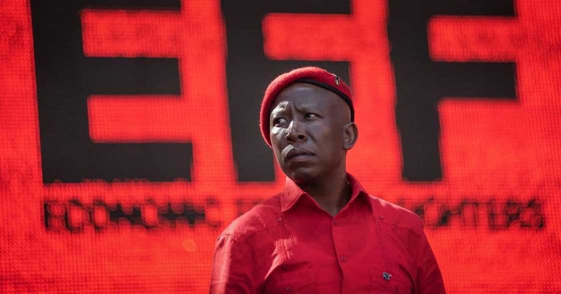 Mzansi, EFF, Economic Freedom Fighters, Julius Malema, politics, President, trending news, viral posts