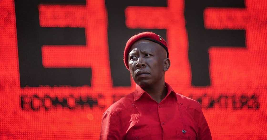 Mzansi, EFF, Economic Freedom Fighters, Julius Malema, politics, President, trending news, viral posts Mzansi, EFF, Economic Freedom Fighters, Julius Malema, politics, President, trending news, viral posts
