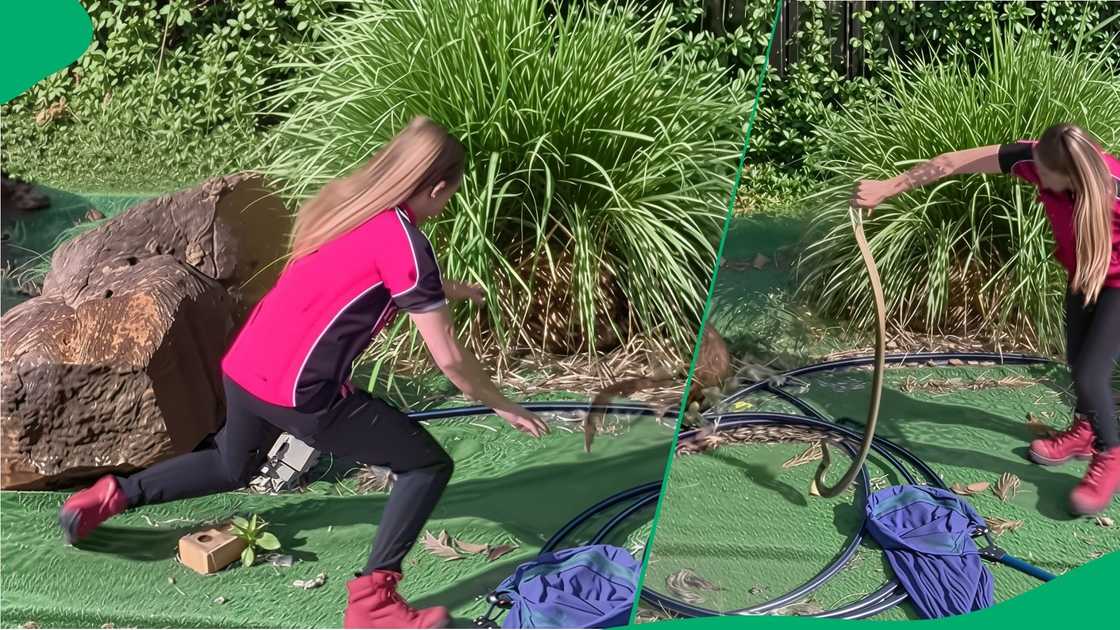 Woman catches snake in video Woman catches snake in video