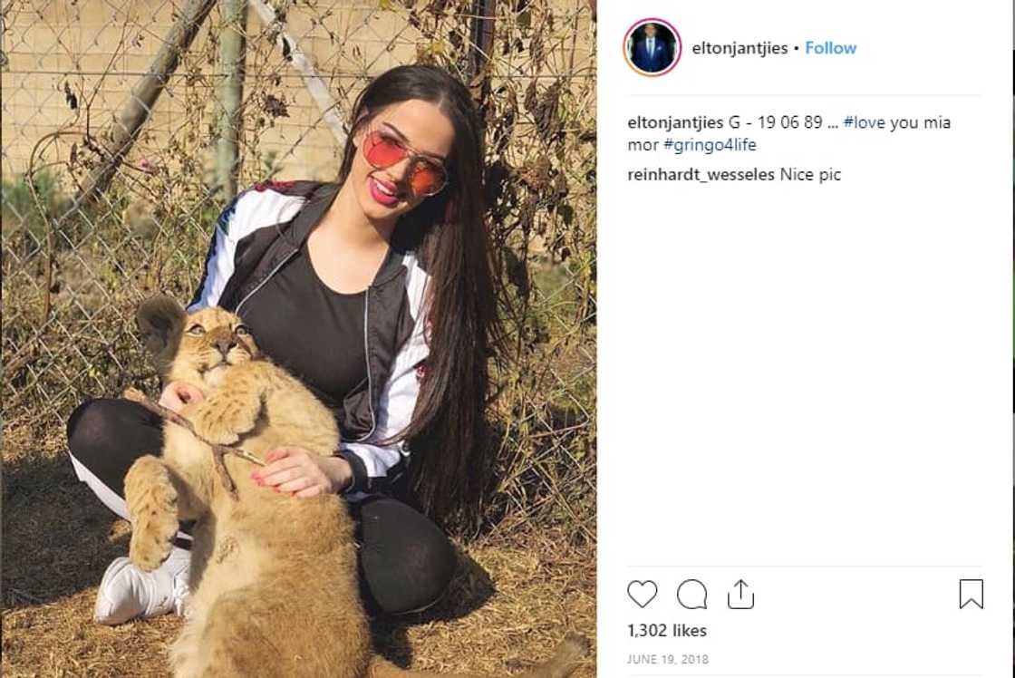 Elton Jantjies wife Iva Ristic age Elton Jantjies wife Iva Ristic age