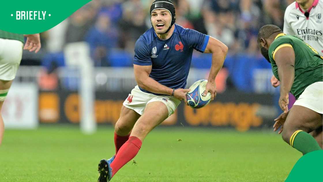 Springboks, France, South Africa, Antoine Dupont