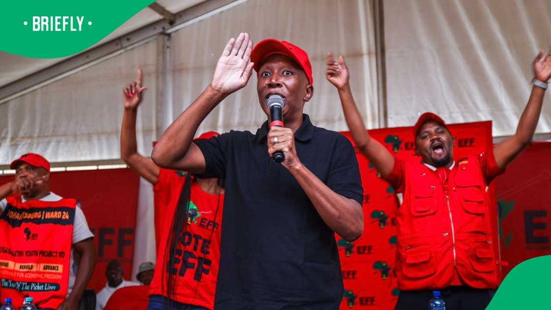 EFF president Julius Malema campaigned for the party in Soweto EFF president Julius Malema campaigned for the party in Soweto