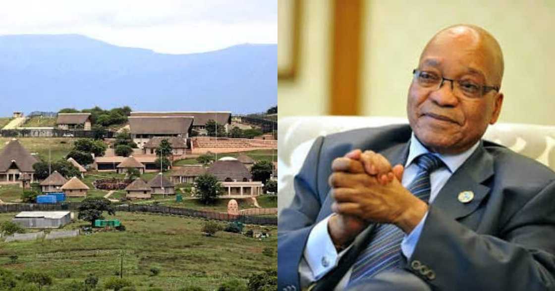 Jacob Zuma, discharged, hospital, Nkandla, Mzansi reacts Jacob Zuma, discharged, hospital, Nkandla, Mzansi reacts