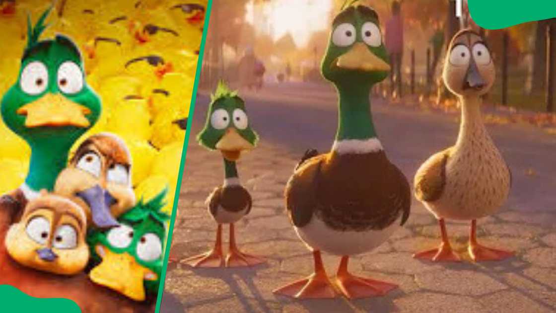 Cast of Migration movie include Danny DeVito, Awkwafina, and Casper Jennings Cast of Migration movie include Danny DeVito, Awkwafina, and Casper Jennings