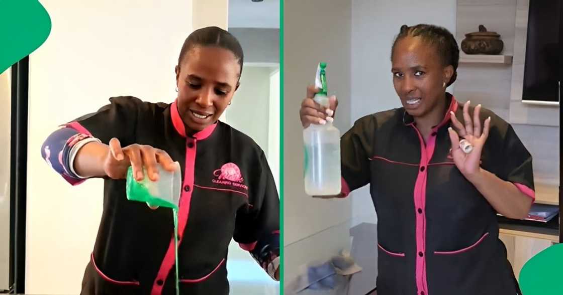 SA in love with new fly-eliminating hack SA in love with new fly-eliminating hack