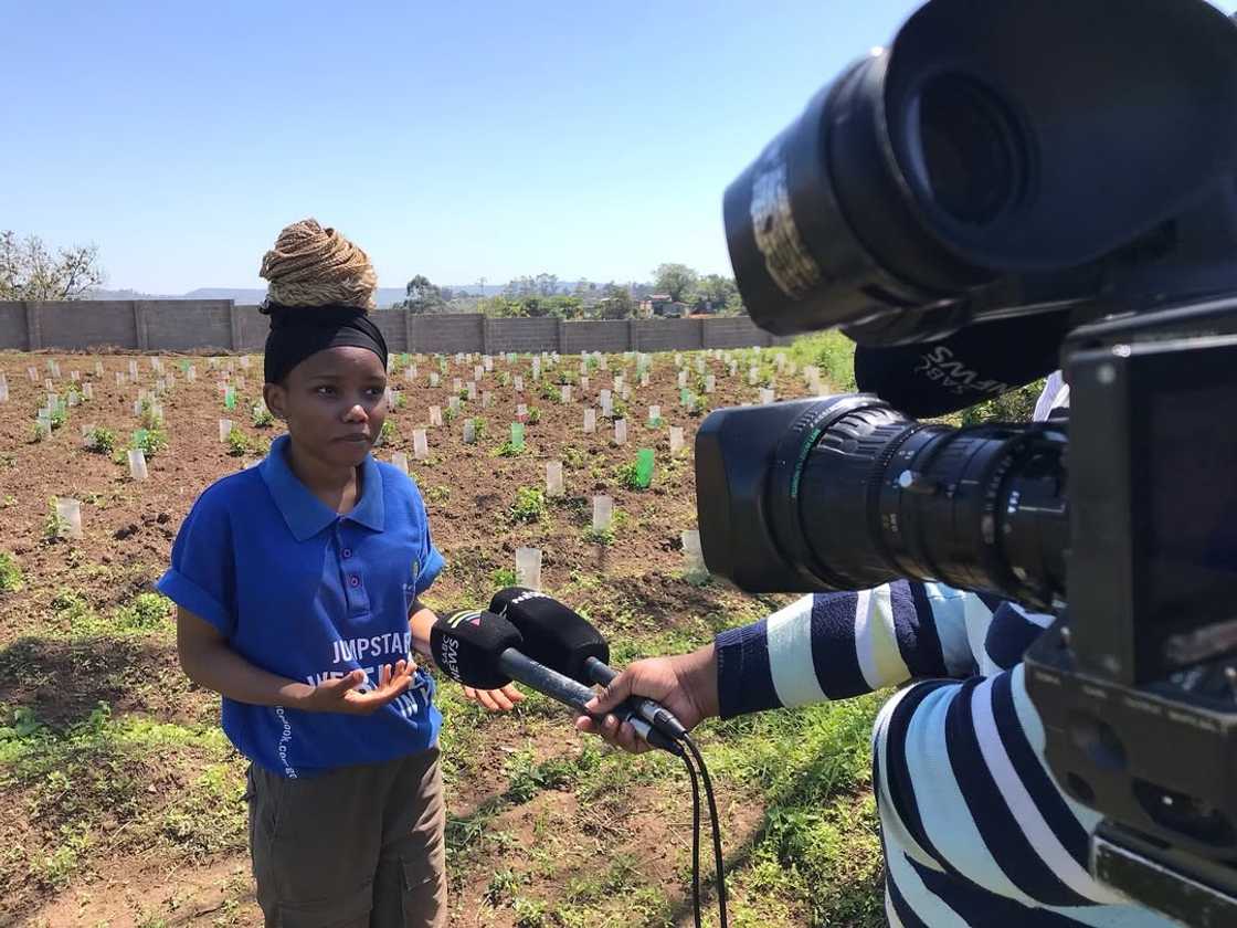 Social media users were eager to buy crushed chillies, asking a young lady to make it so they could order Social media users were eager to buy crushed chillies, asking a young lady to make it so they could order