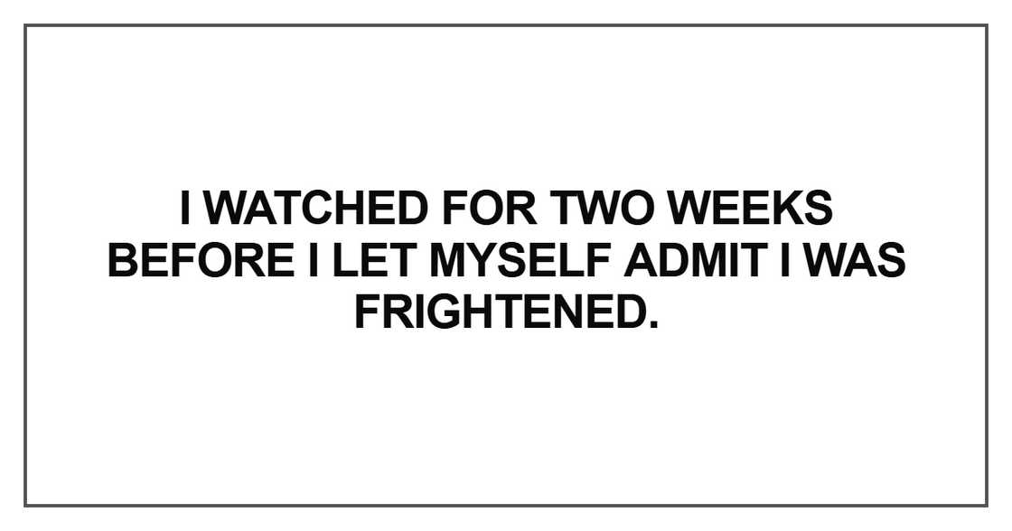 I watched for two weeks I watched for two weeks