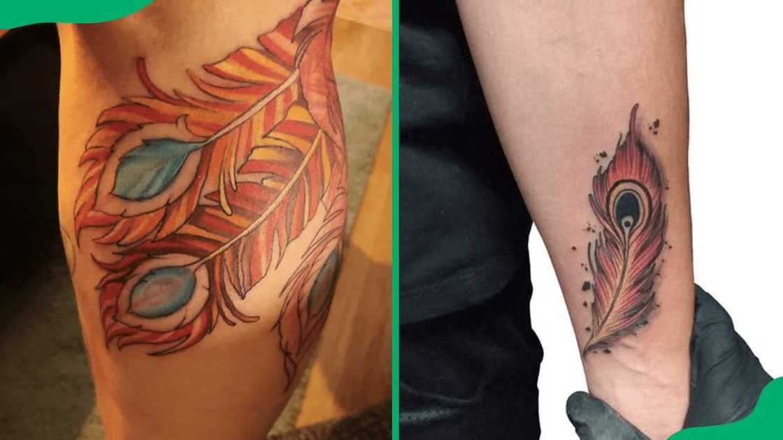 Phoenix feather tattoos Phoenix feather tattoos