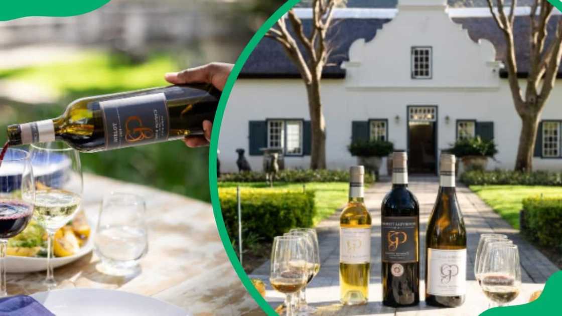 Wine farms in the Western Cape Wine farms in the Western Cape