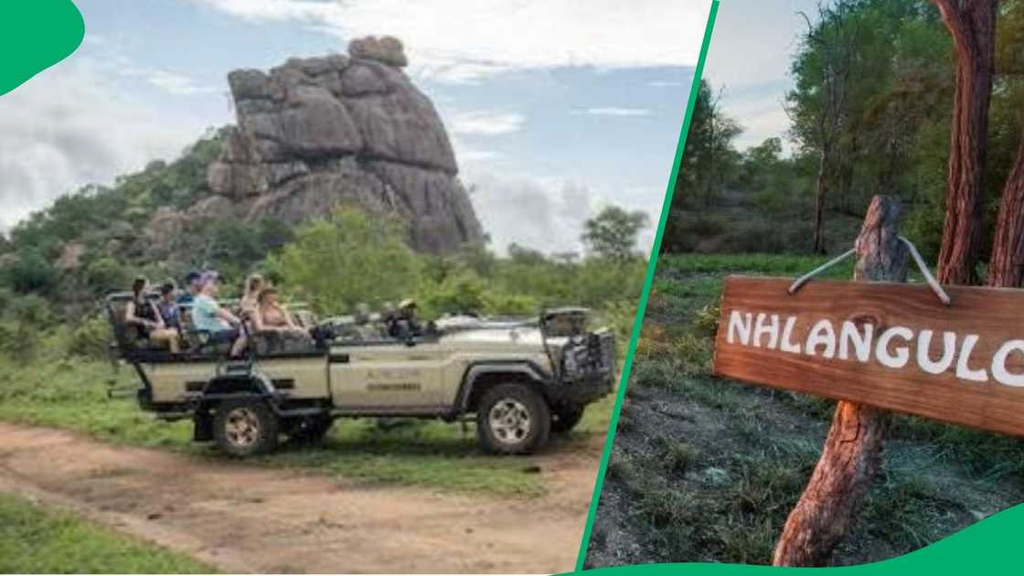 Kruger National Park's 100th birthday warms South Africa's hearts Kruger National Park's 100th birthday warms South Africa's hearts
