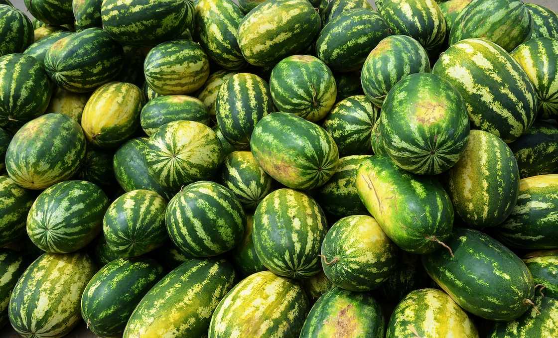 Close up of many watermelons in the street There was a mountain of watermelons. Close up of many watermelons in the street There was a mountain of watermelons.