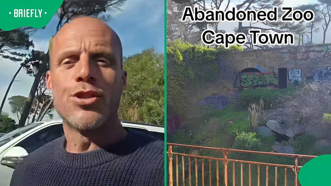 Abandoned Groote Schuur Zoo sparks nostalgia among Cape Town locals