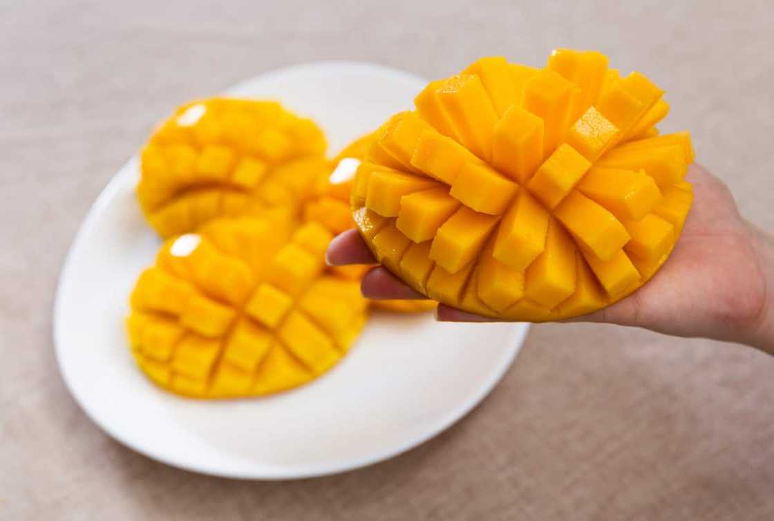 Mango fiesta