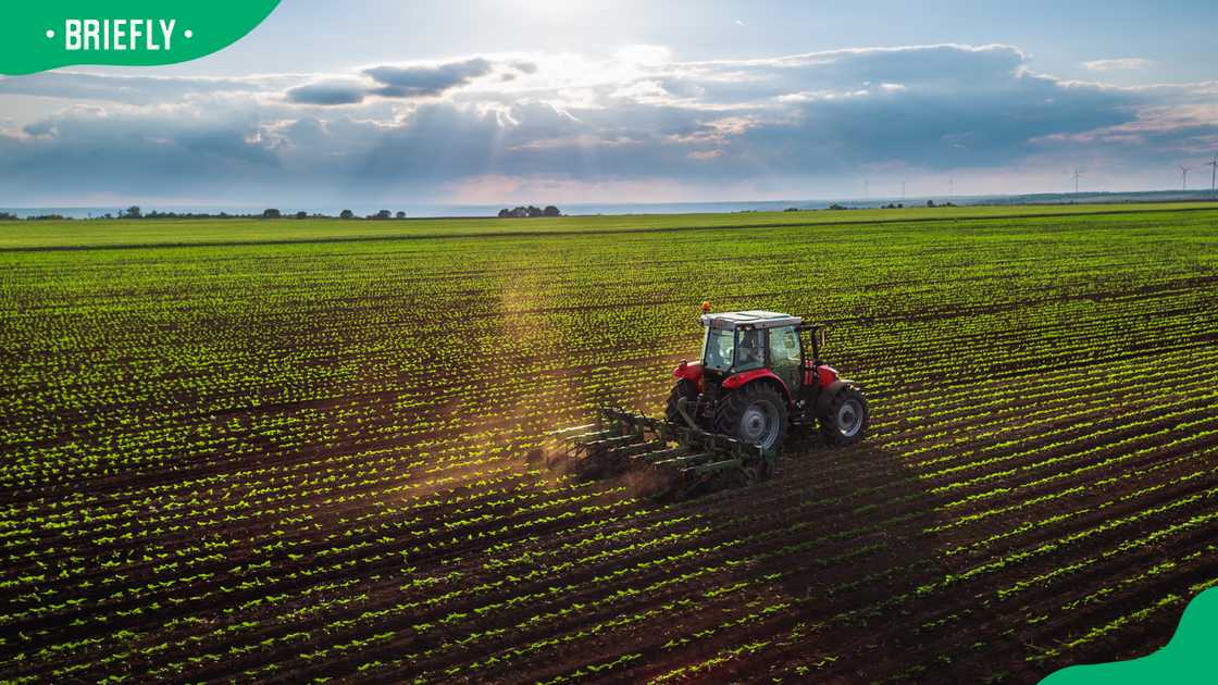 Agricultural work
