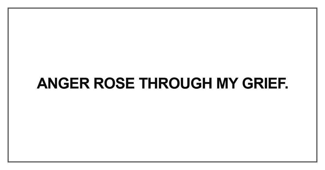 Anger rose through my grie