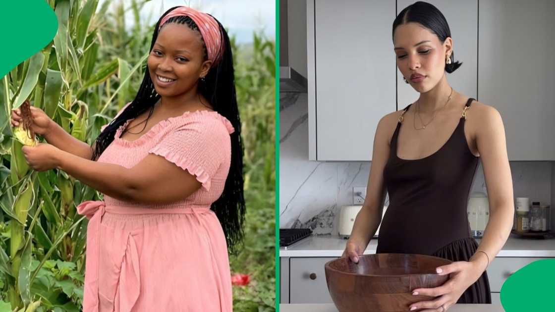 SASMA Awards controversy as local food influencer snubbed in place of SA-German SASMA Awards controversy as local food influencer snubbed in place of SA-German