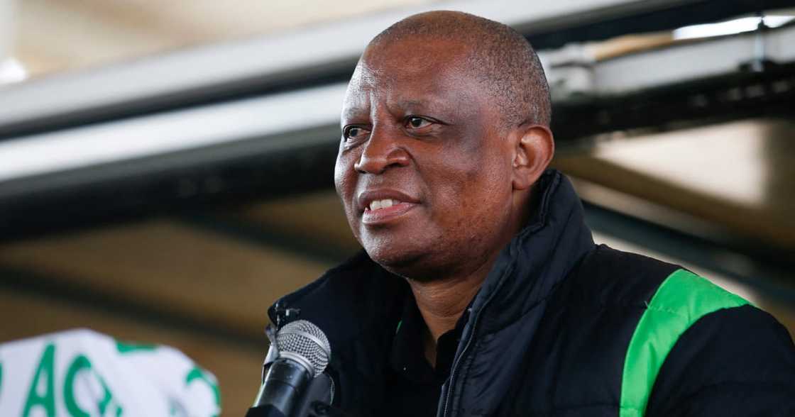 Herman Mashaba, ActionSA, National Elections, Local government elections, Gauteng