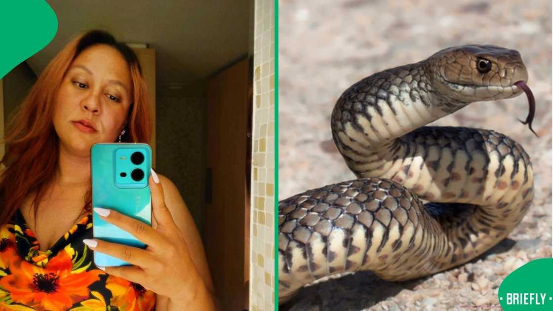 A woman shared a shocking story of a snake curling up in a parking lot in Cape Town.