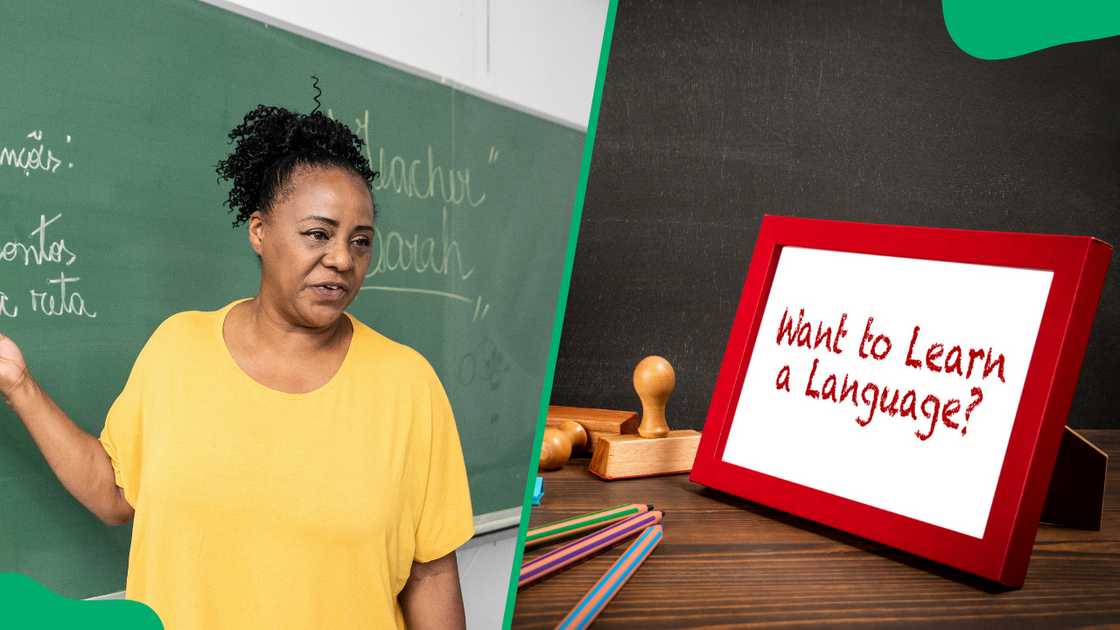 best languages to learn best languages to learn