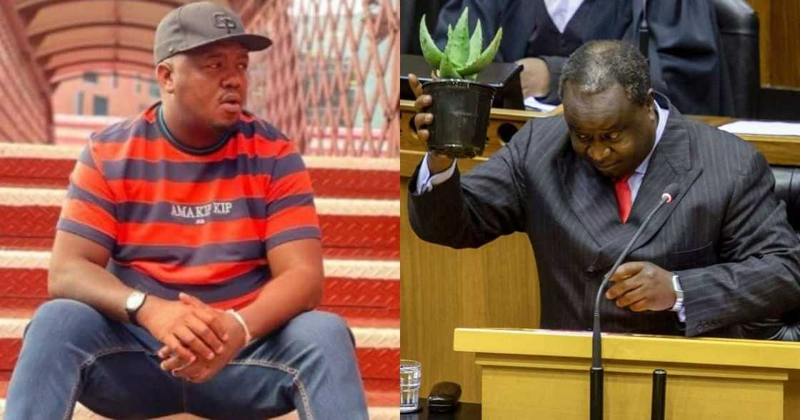 Tito Mboweni, Skhumba Hlophe, fight, call out, funny interaction, viral, trending Tito Mboweni, Skhumba Hlophe, fight, call out, funny interaction, viral, trending