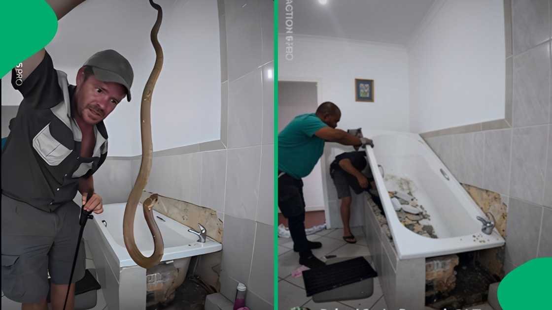 The intense extraction was caught on video, showing the handler breaking apart the fitting The intense extraction was caught on video, showing the handler breaking apart the fitting