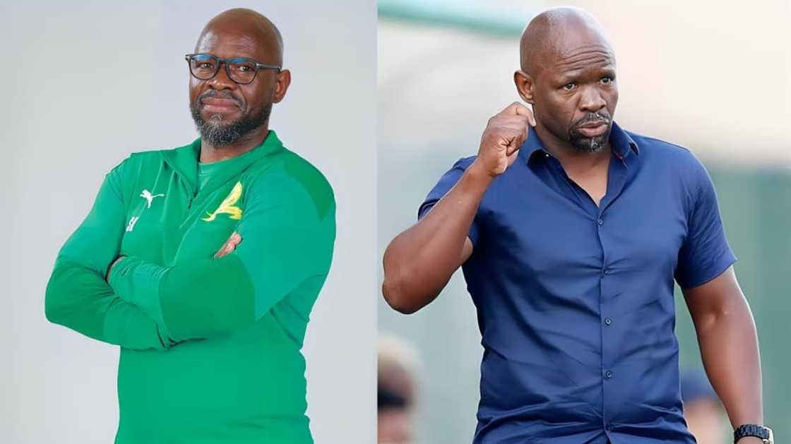 Steve Komphela wearing a green jumper and a navy blue shirt