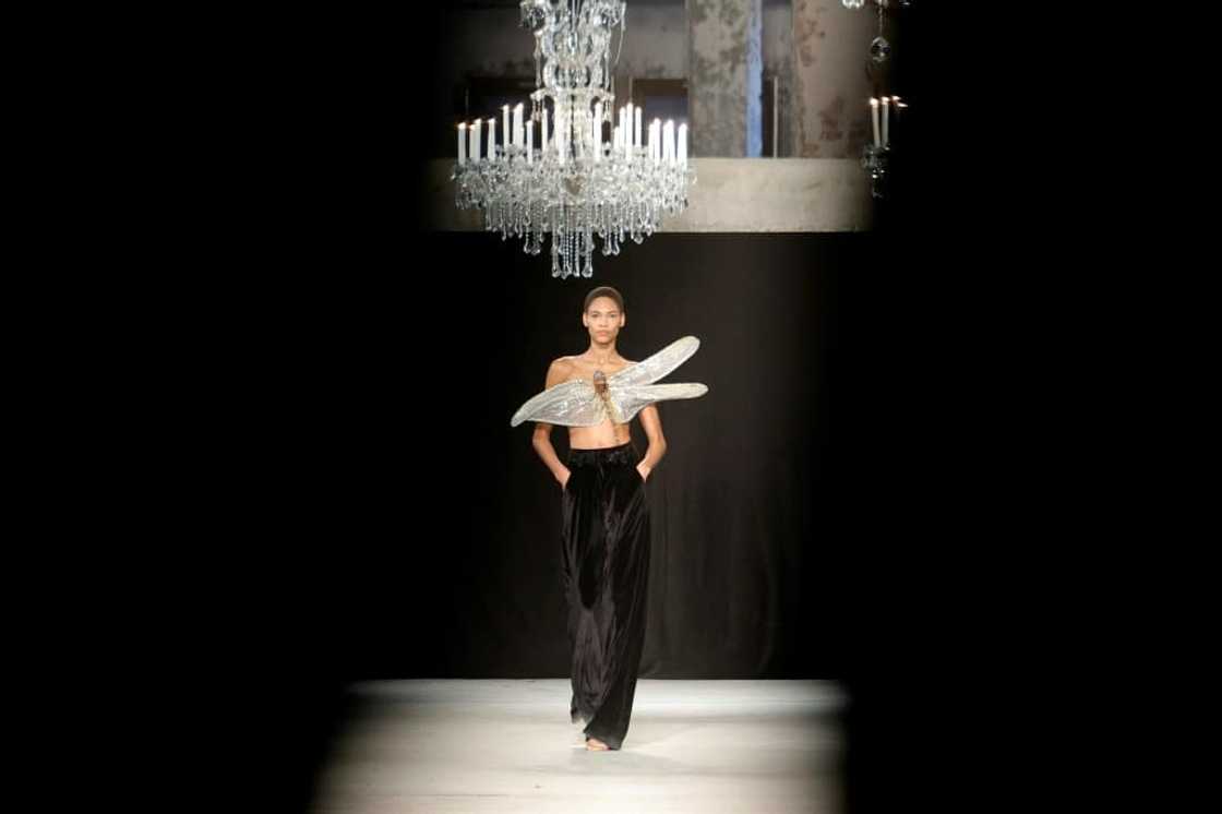 Moths and bugs were the stars for Rahul Mishra Moths and bugs were the stars for Rahul Mishra