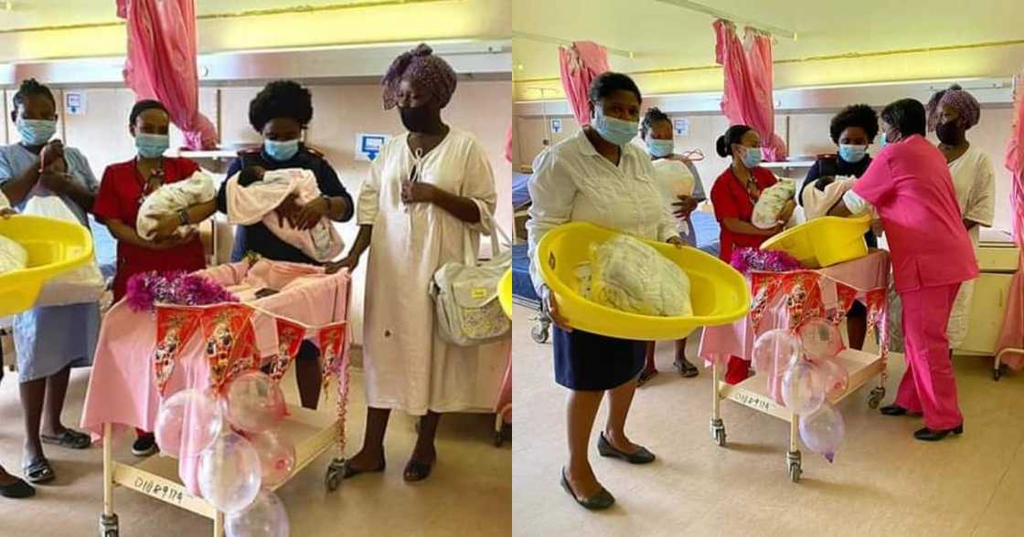 Halala: Limpopo celebrates at least 55 Christmas babies being born Halala: Limpopo celebrates at least 55 Christmas babies being born