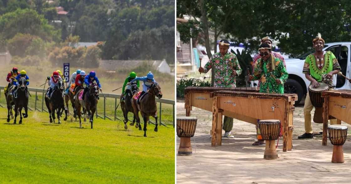 Hollywoodbets Durbanville horse race