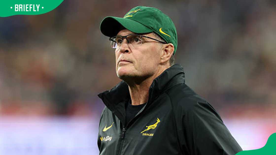 Rassie Erasmus at the Stade de France