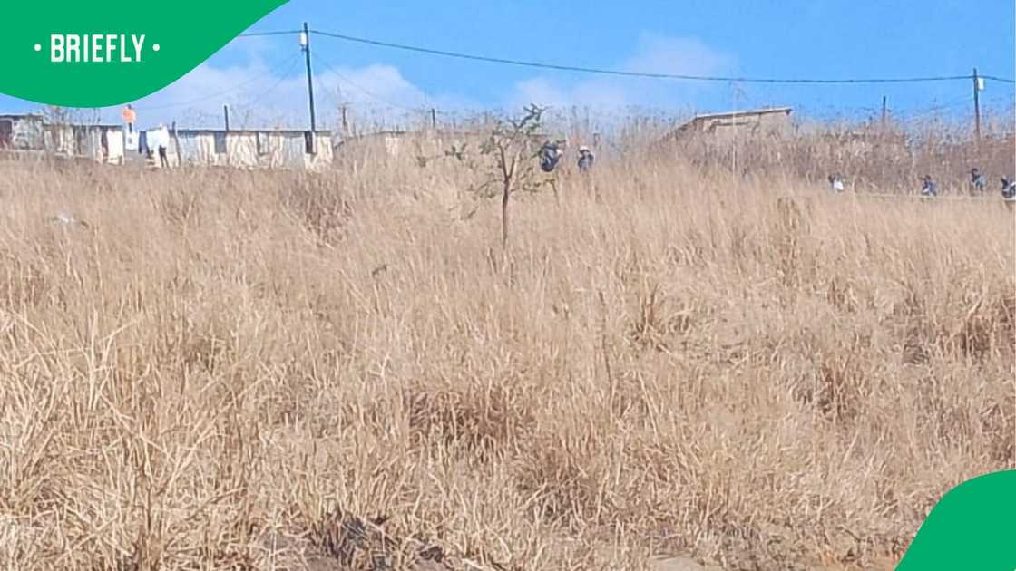 A six-year-old girl has been sexually assaulted in Limpopo