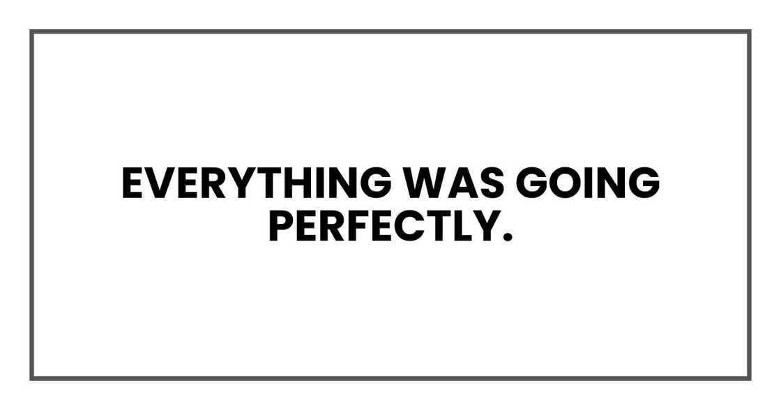 Everything was going perfectly. Everything was going perfectly.
