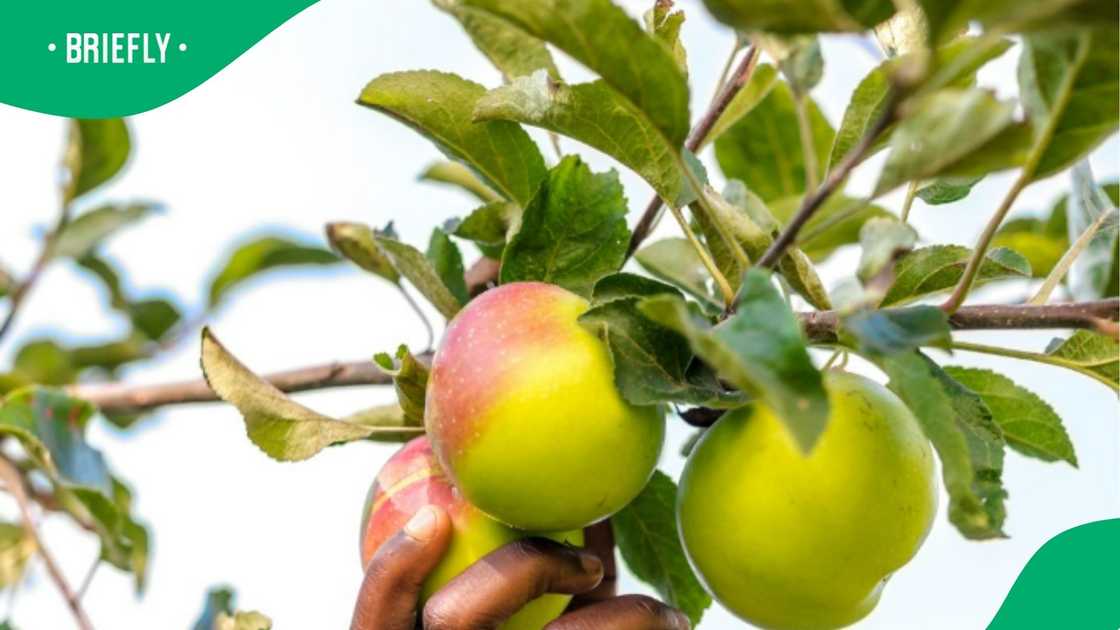 A post went viral. A post went viral.