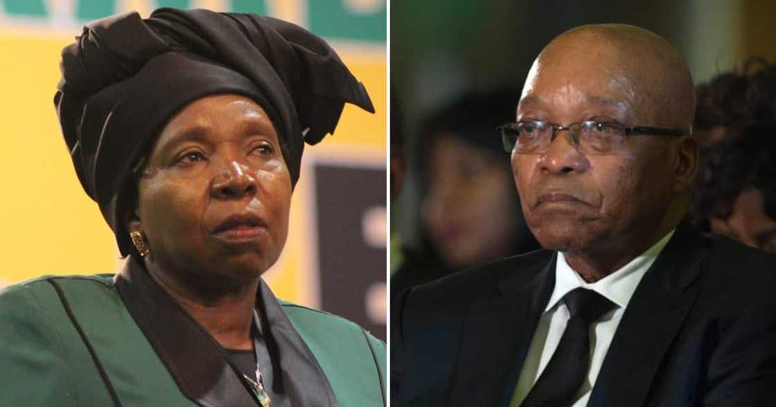 Nkosazana Dlamini-Zuma_Jacob Zuma Nkosazana Dlamini-Zuma_Jacob Zuma