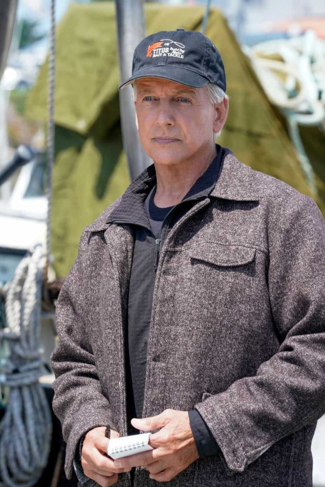 Mark Harmon’s income streams Mark Harmon’s income streams