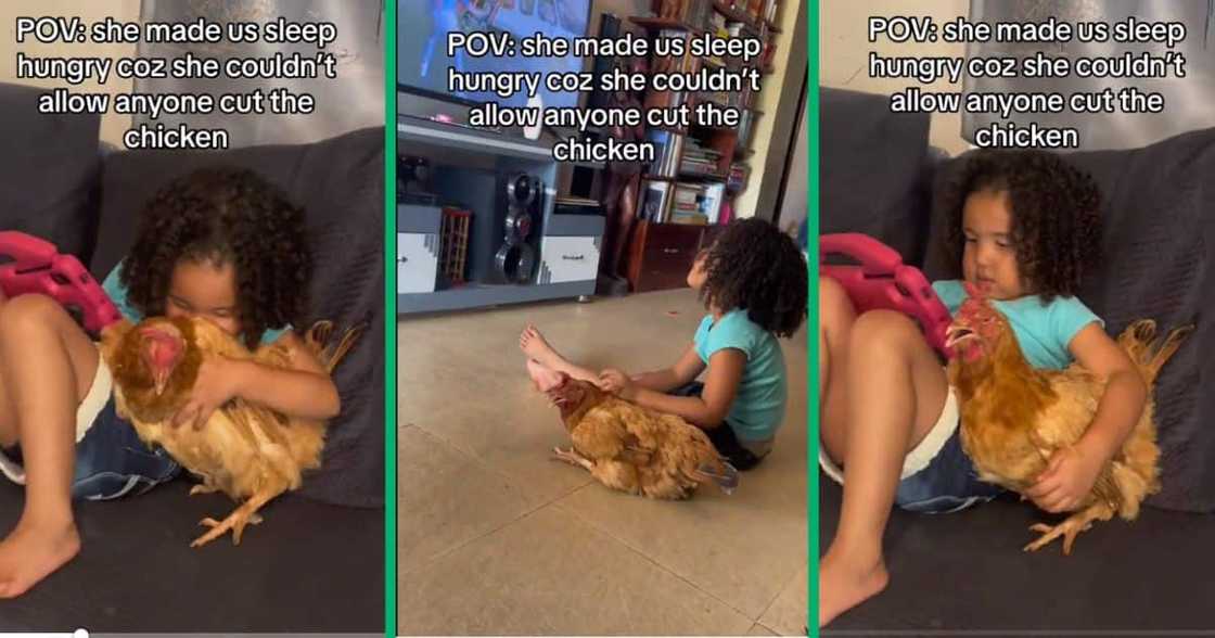 Girl with chicken she befriended Girl with chicken she befriended