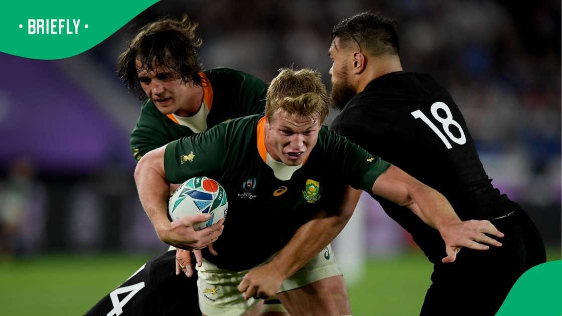 Angus Ta'avao, 2019 Rugby World Cup, Japan, New Zealand and South Africa. Angus Ta'avao, 2019 Rugby World Cup, Japan, New Zealand and South Africa.