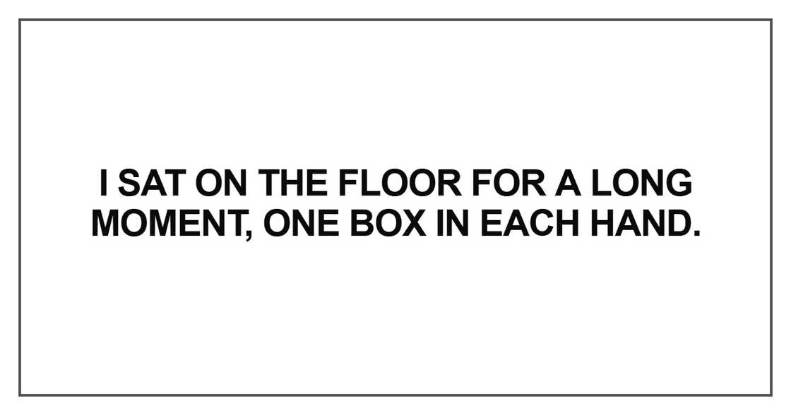 I sat on the floor for a long moment, one box in each hand I sat on the floor for a long moment, one box in each hand