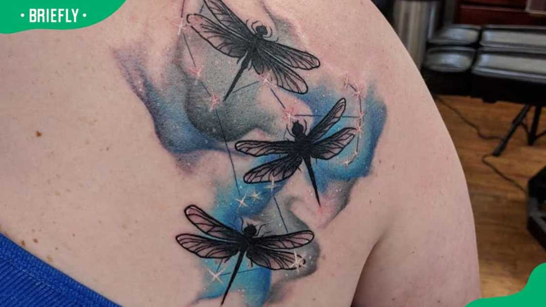 Triple dragonfly tattoo Triple dragonfly tattoo