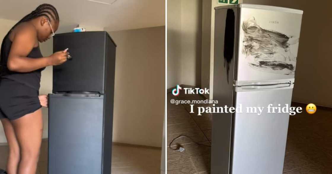 The lady precisely painted her fridge black