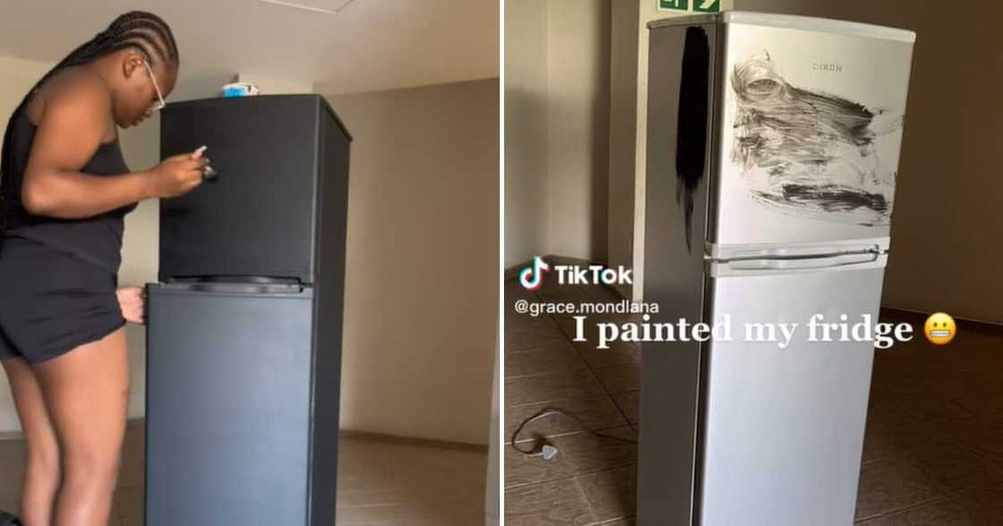 The lady precisely painted her fridge black The lady precisely painted her fridge black