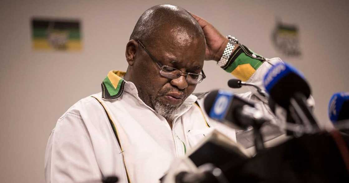 Gwede mantashe