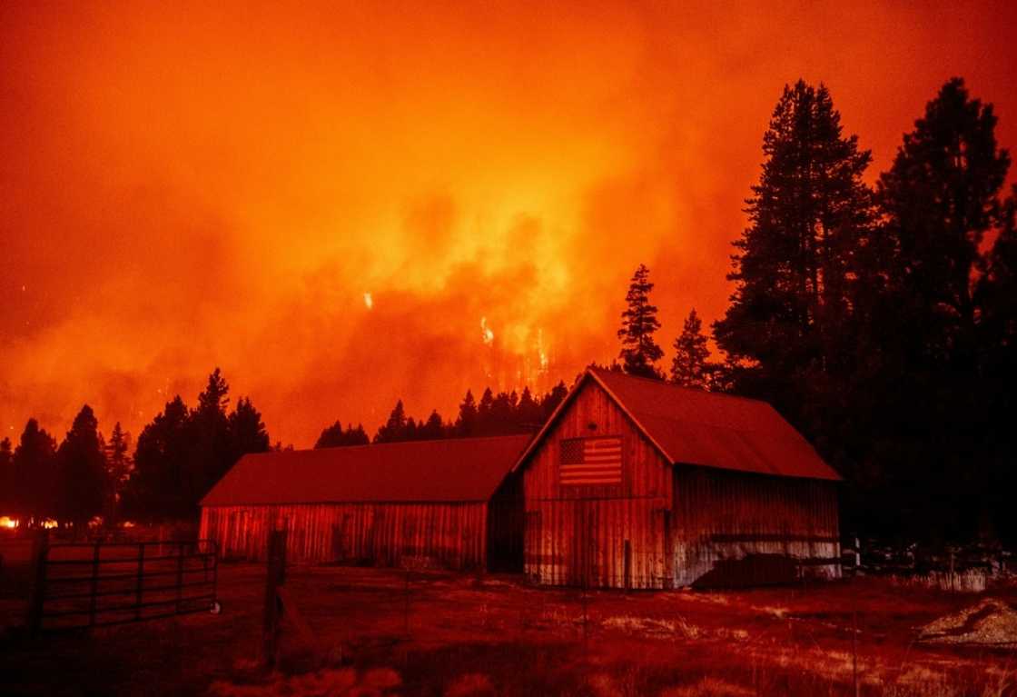 The plan put forth by US Democrats would help protect the nation's forests from the ravages of persistent wildfires The plan put forth by US Democrats would help protect the nation's forests from the ravages of persistent wildfires