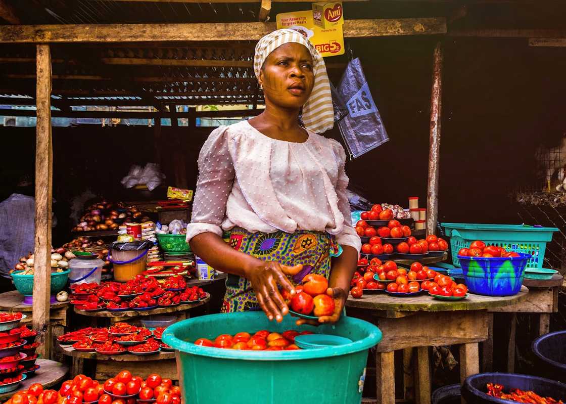 A market vendor sorting tomatoes at an outdoor stall.