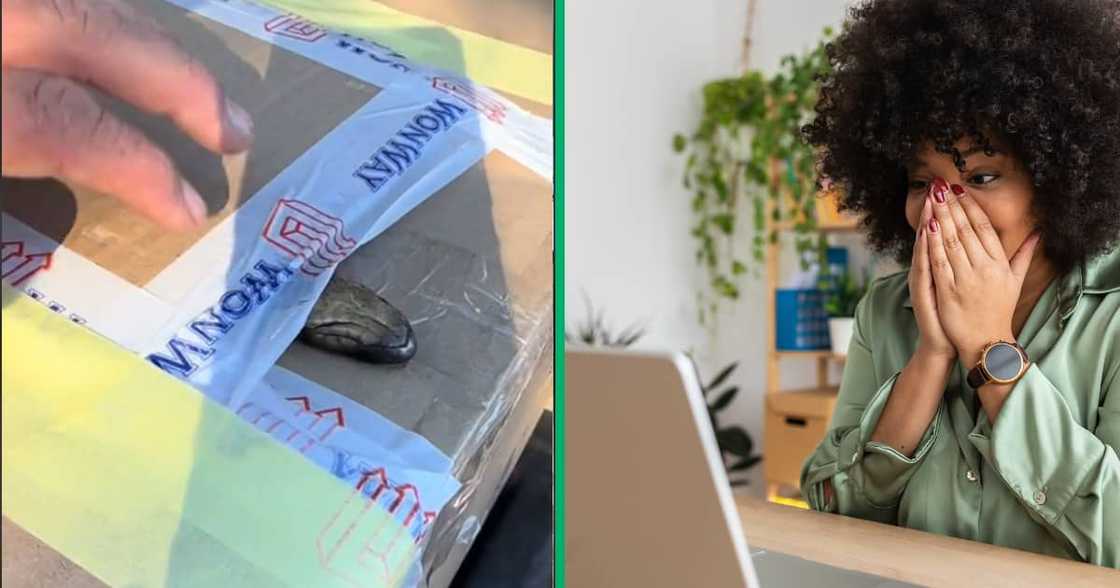 The TikTok video shows how the snake removal expert seamlessly takes the snake out of the box and handles it with ease. The TikTok video shows how the snake removal expert seamlessly takes the snake out of the box and handles it with ease.