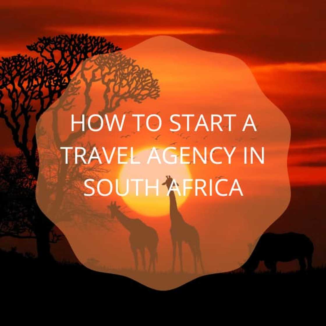 How to start a travel agency in South Africa How to start a travel agency in South Africa