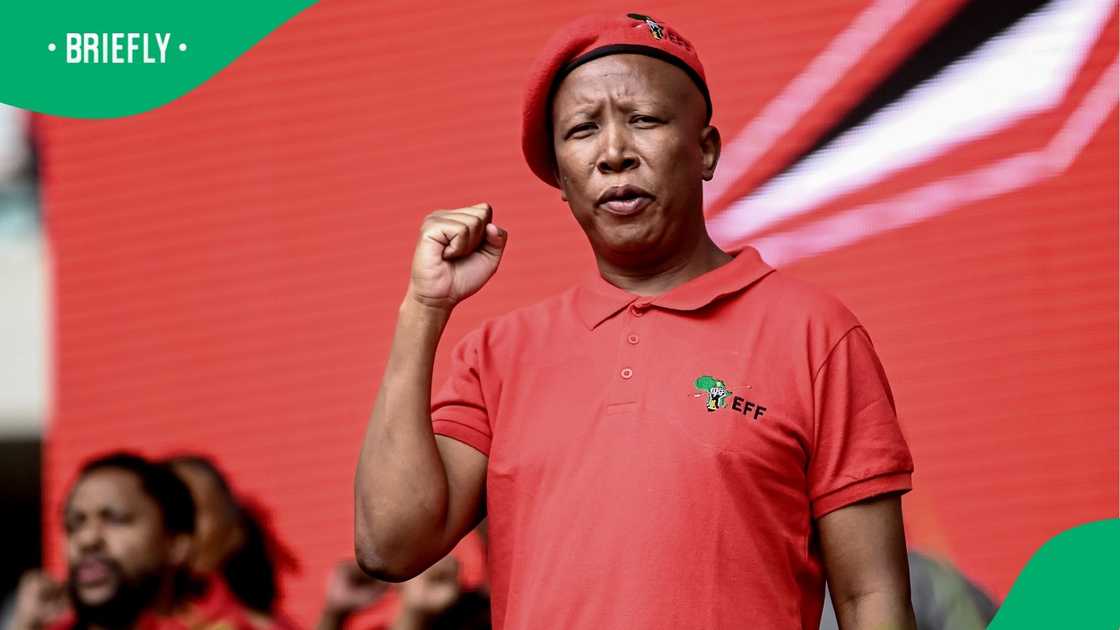 Julius Malema is confident that members will regret leaving the EFF. Julius Malema is confident that members will regret leaving the EFF.